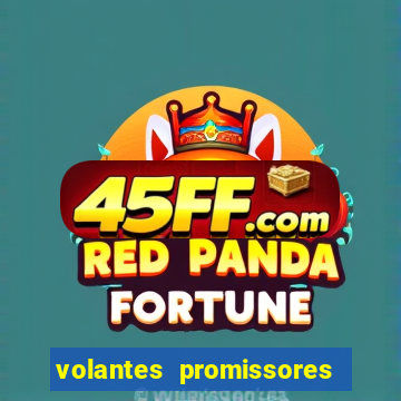volantes promissores ea fc 24